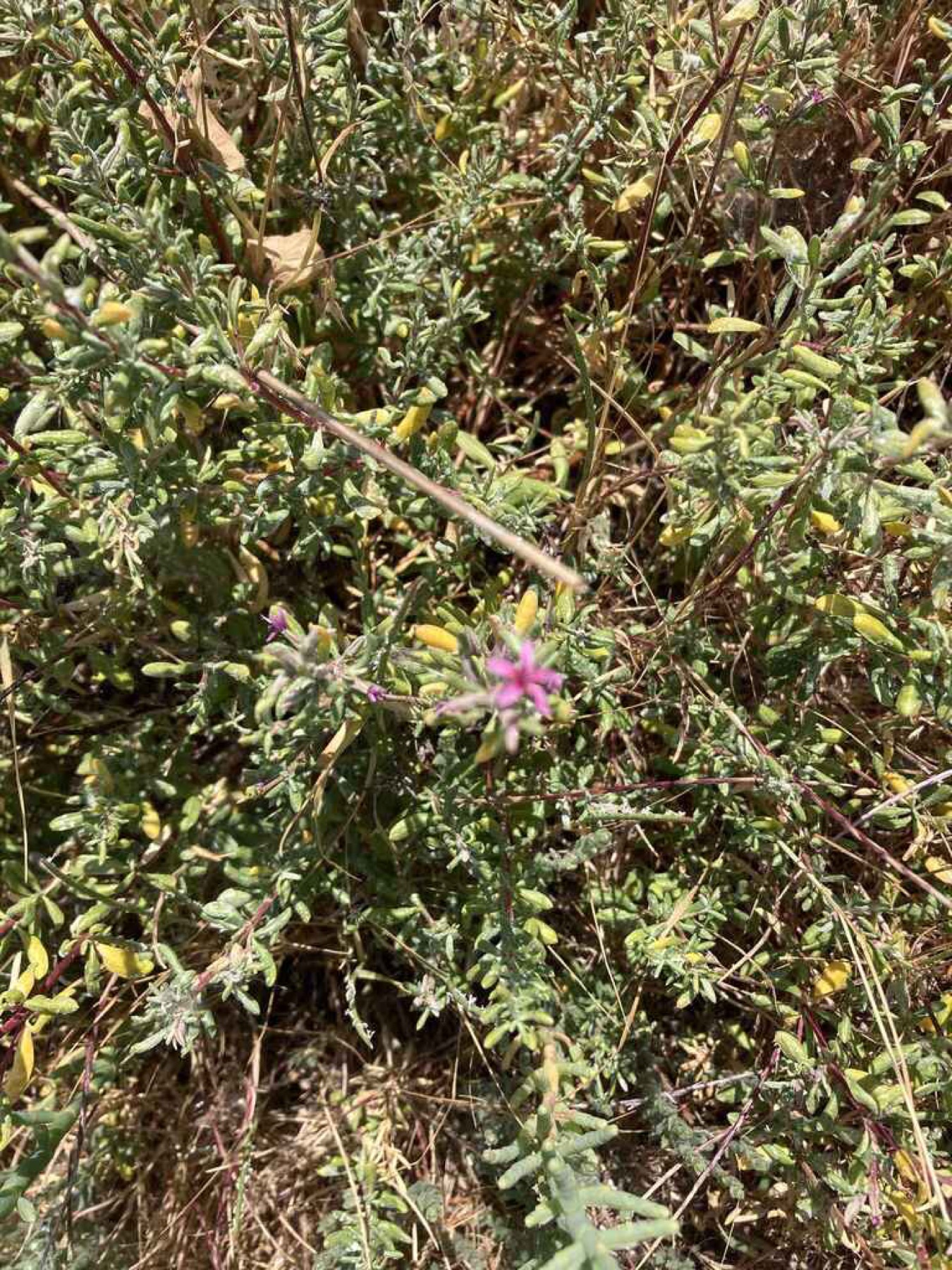 Alkali Heath — photo 12