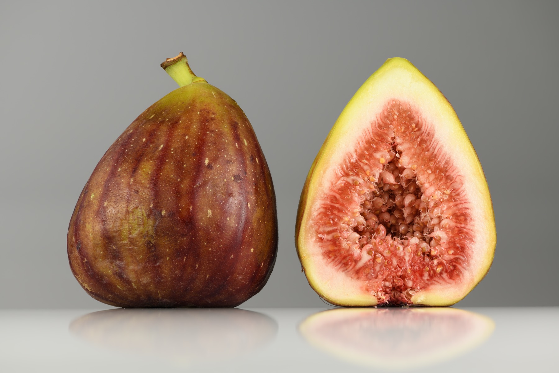 Common Fig — photo 20