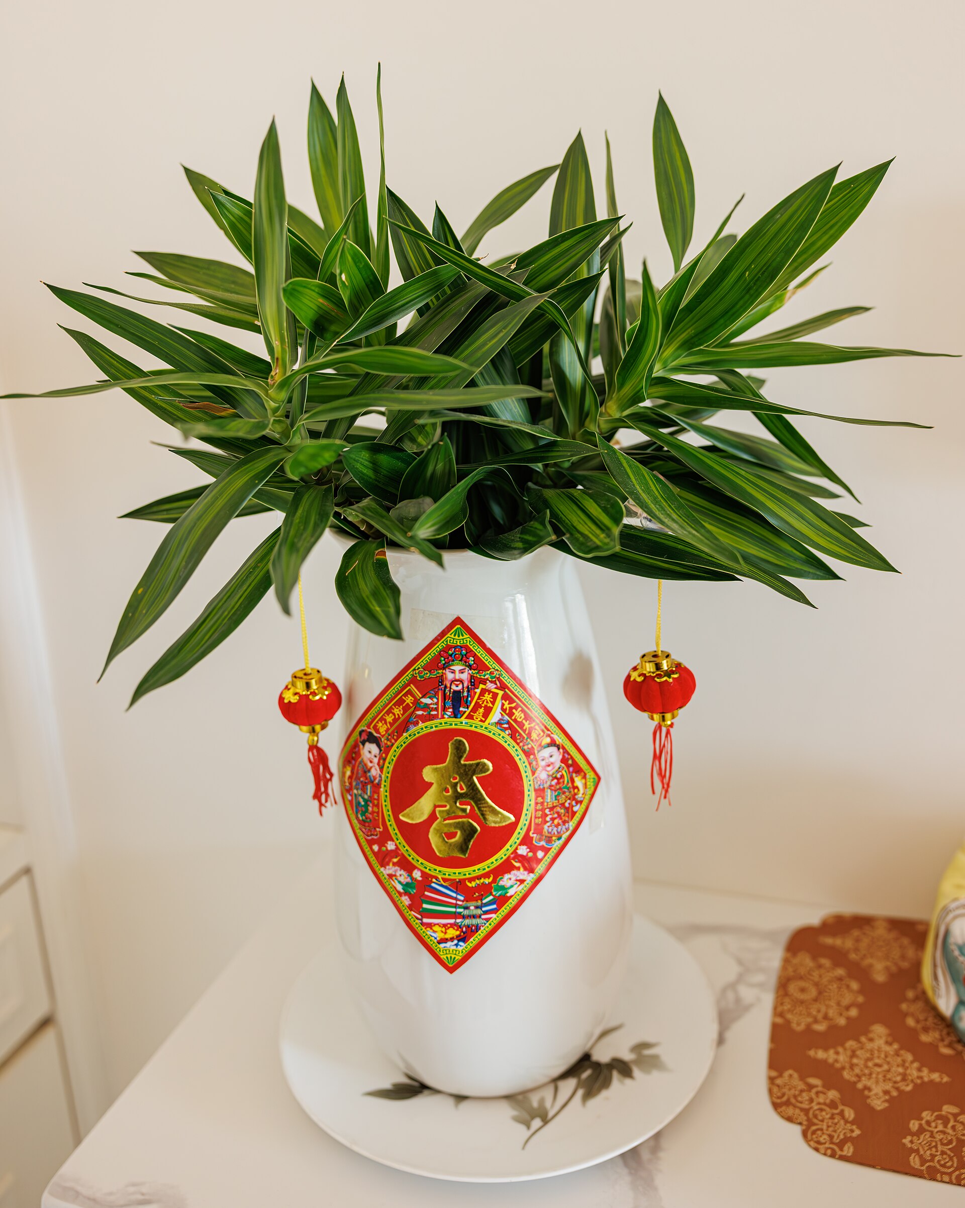 Lucky Bamboo — photo 24