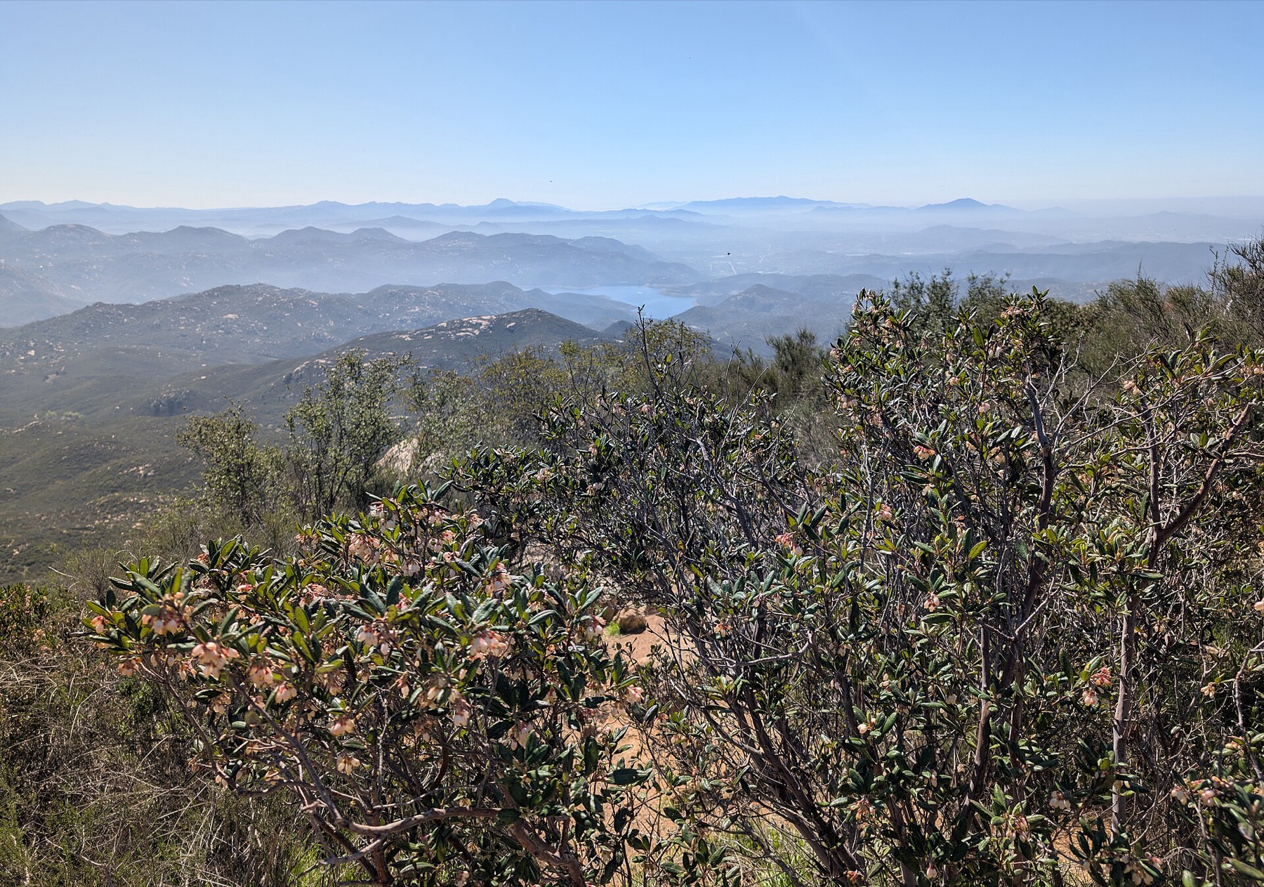 Mission Manzanita — photo 18